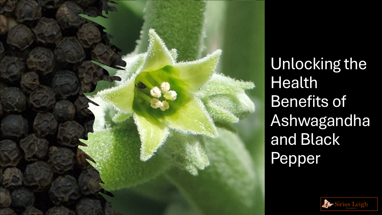 Report: Ashwagandha and Black Pepper. A holistic dynamic duo
