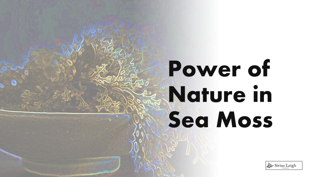 Unlock the Power of Nature in Sea Moss