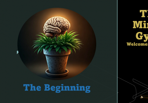 1.The Beginning